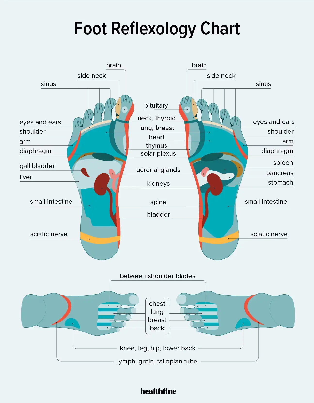 Dr. Chen's Reflexology Mat