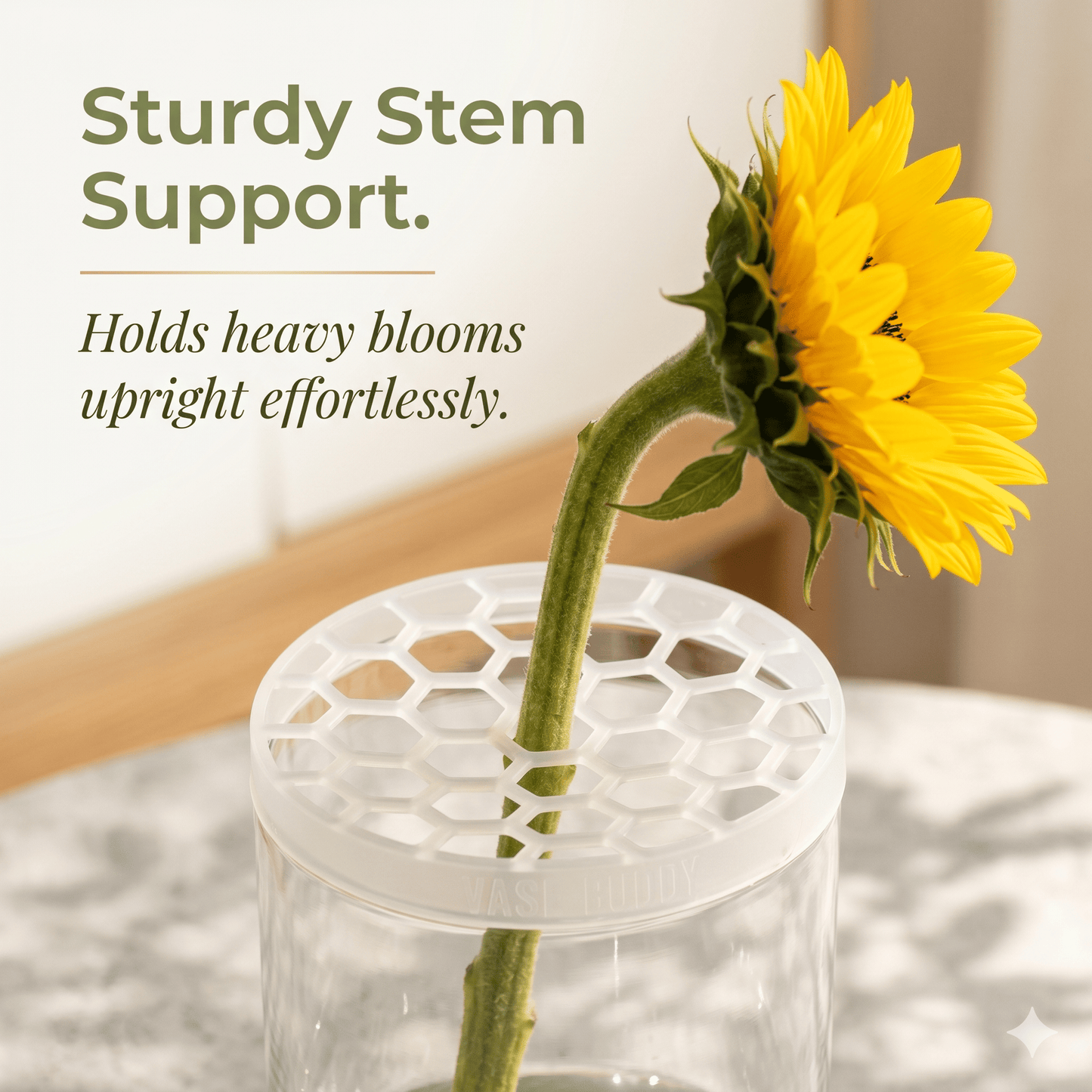 🌸Vase Buddy™ Turn Ordinary Flowers Into Beautiful Arrangements🌼