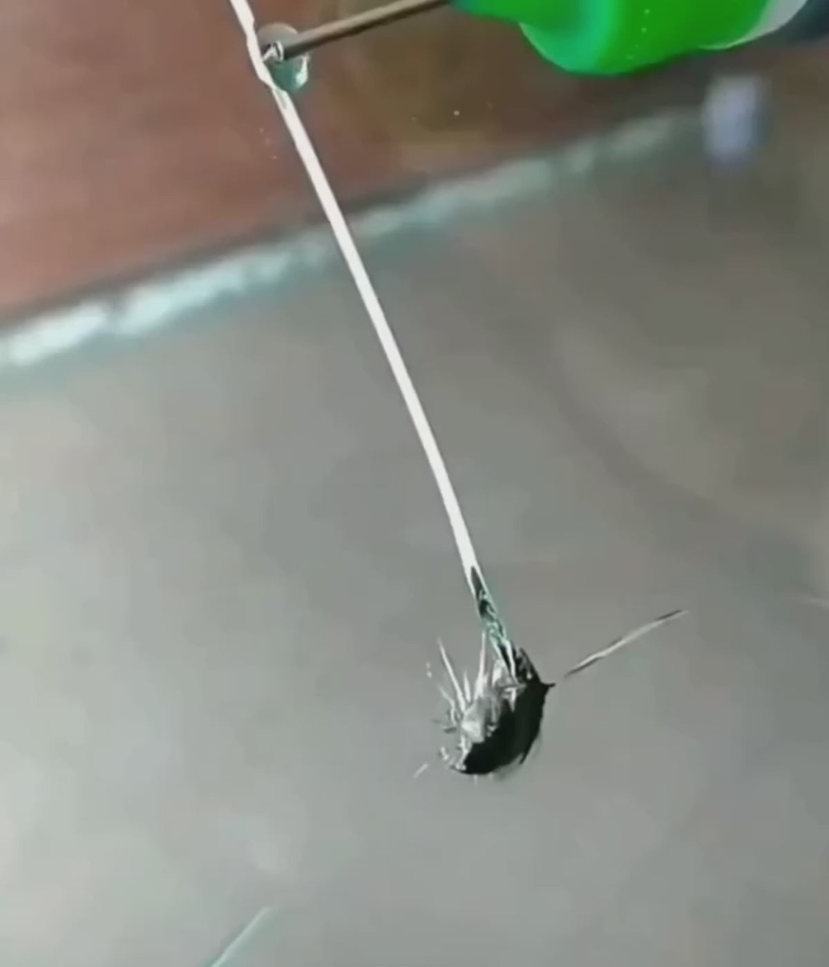 Charger la vidéo : 