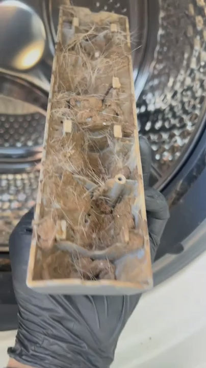 Charger la vidéo : 